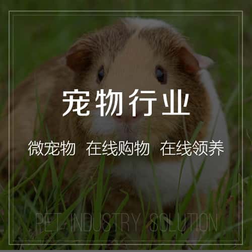 桂林宠物
