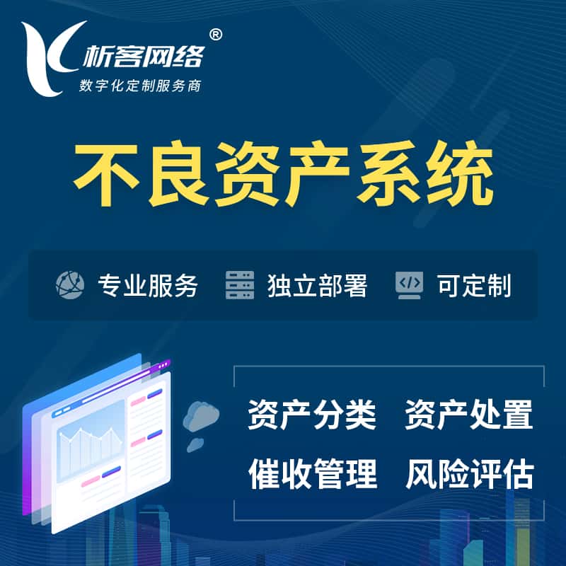 桂林不良资产管理系统