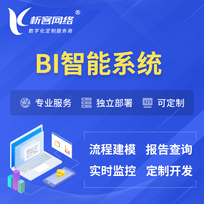 桂林BI智能系统 | BI数据可视化